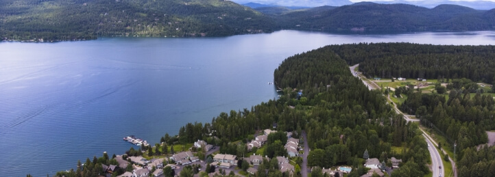 Whitefish